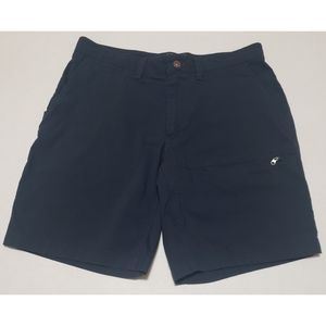The North Face Mens Blue Shorts Size 32